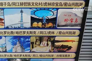 半岛官网多特蒙德赞助商截图1