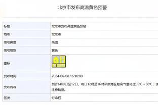 半岛官网多特蒙德赞助商截图2